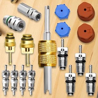17 Pcs Air Conditioning Valve Core Kit, R12 To R134a Conversion Kit R134a Valve Core A/C Refrigeration System, AC Valve Kit AC Valve Core Removal Tool AC Service Port Seal Cap Valve Kit