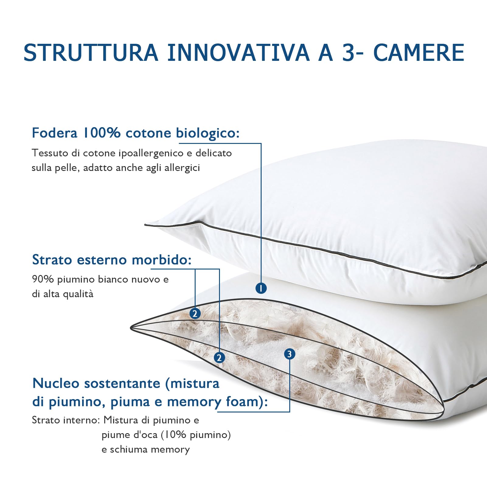 Dafinner Cuscino 40 × 80 cm 2 Pz | 90% Piumino scomparti est. | Miscela di Piume scomparto int. | Oeko-TEX Downpass | Supporto Medio | Cotone Biologico