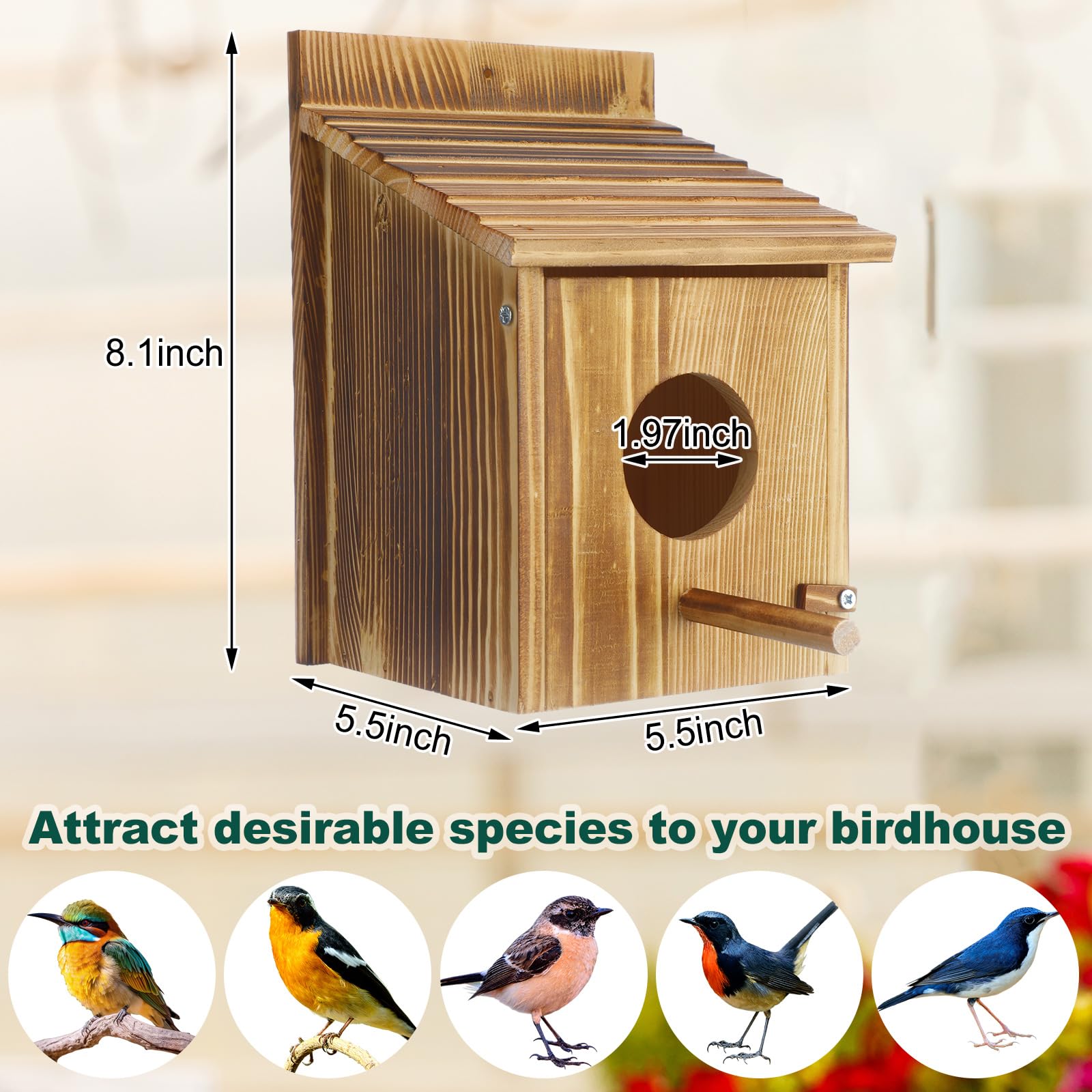 Vogelhaus Aus Holz Mit Sitzstange – Blaues Außen-Vogelhäuschen Für Garten, Terrasse Oder Balkon