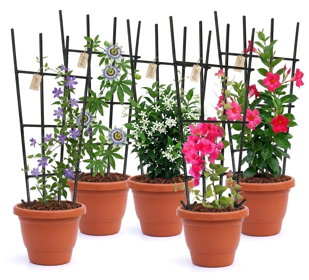 Plant Trellis - Durable Support for Climbing Plants, Vines, and Creepers, Ideal for Indoor and Outdoor Gardening Use (5)-image-7