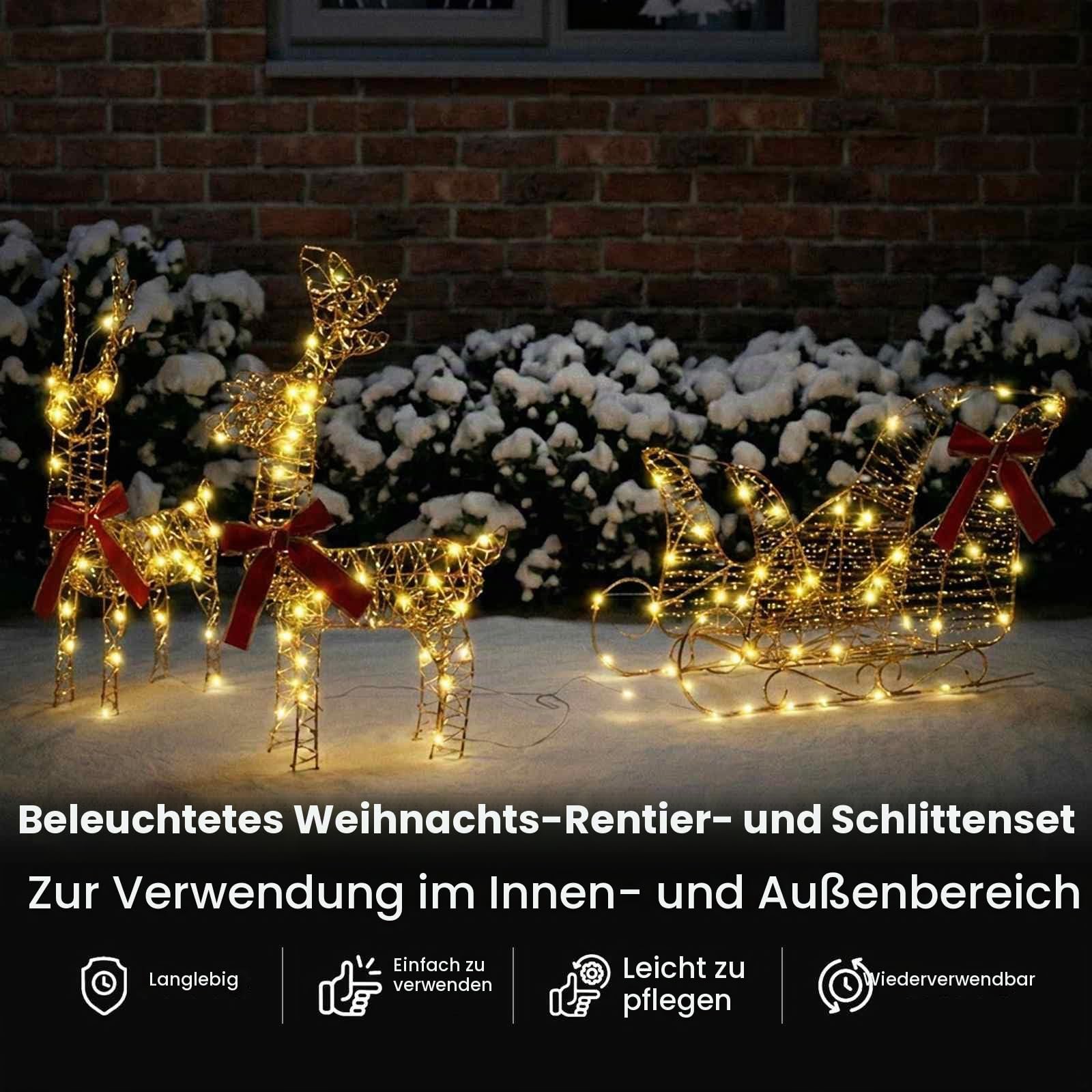 vidaXL Rentier Zieh Schlitten 160 LEDs Warmes Weiß 30 x 12 x 55 cm PET