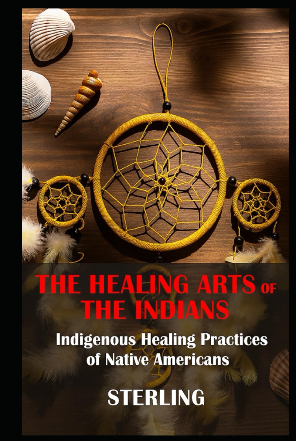 The Healing Arts of the Indians – Indigenous Healing Practices of Native Americans: A journey through healing traditions and modern understanding      Hardcover – August 3, 2025