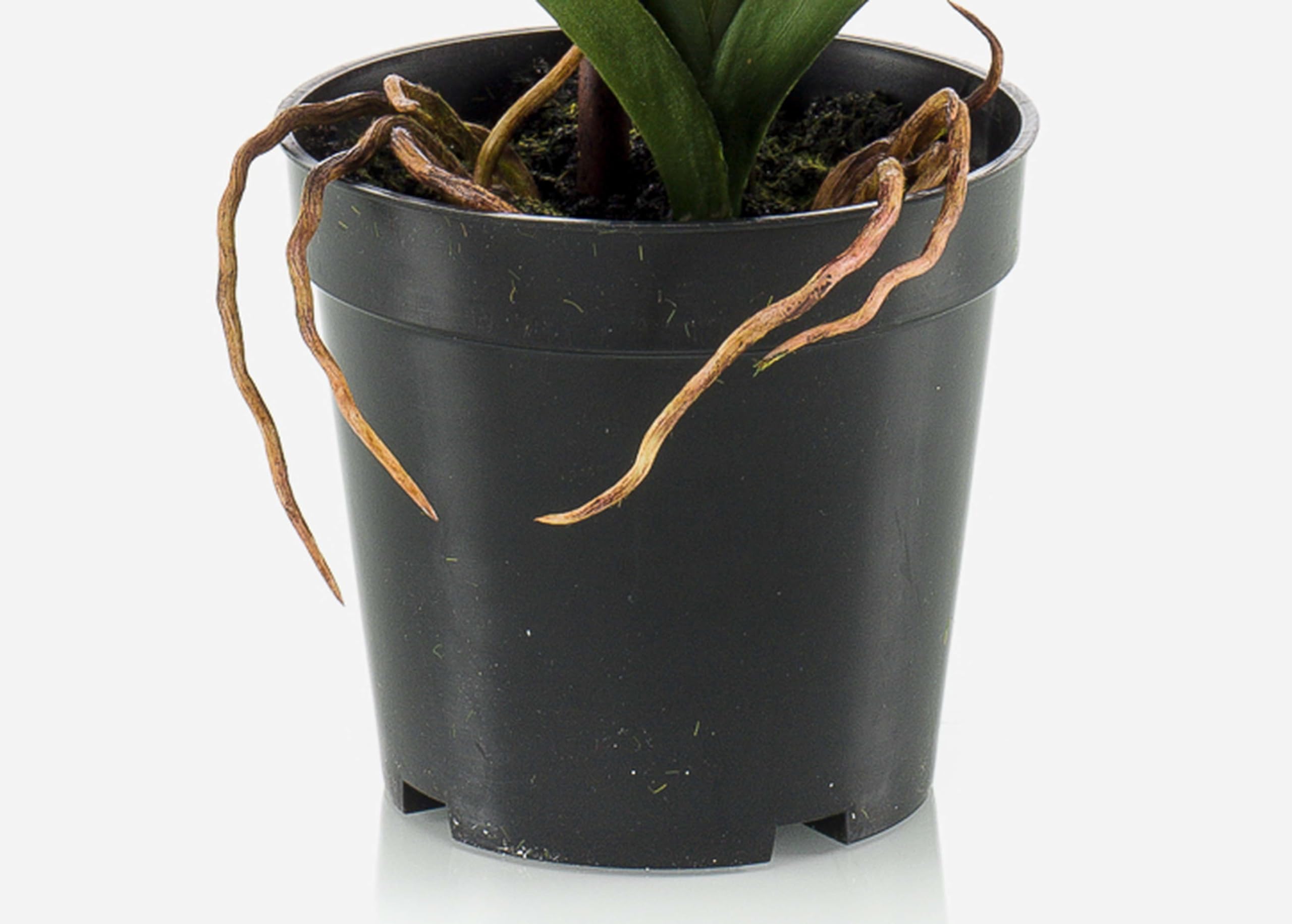 artplants.de Fleur Artificielle Orchidée Vanda Campo, Violet, 60cm