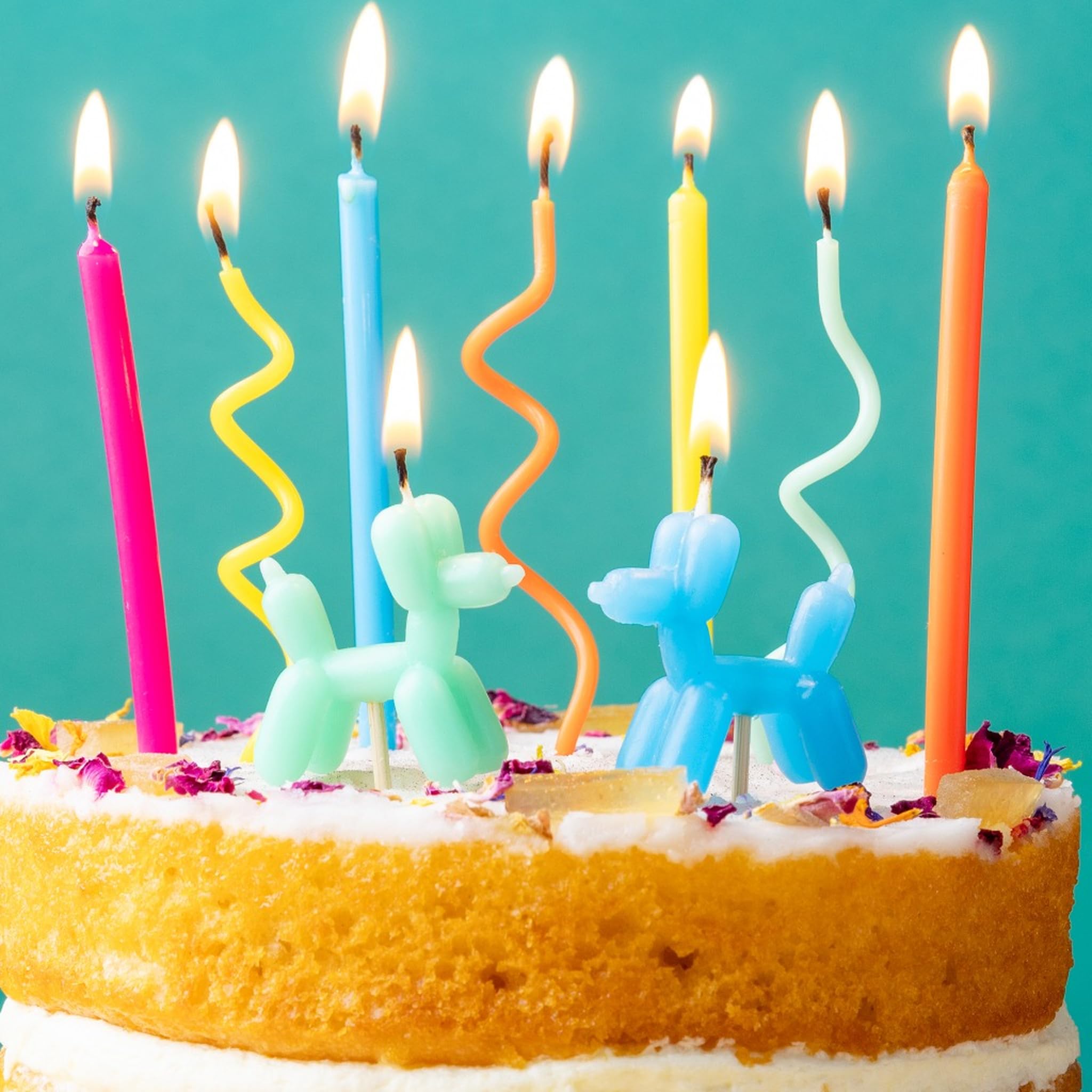 Talking Tables 9 x Balloon Dog Birthday Candles and Spiral Birthday Party Candles for Cake Decorations Parties & Celebrations for Fun Gatherings Cake Topper Candles Eco Packaging 7cm