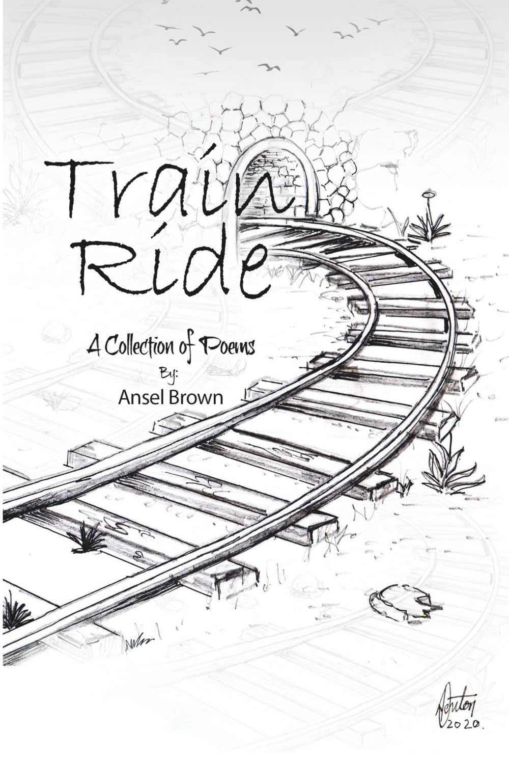 Train Ride