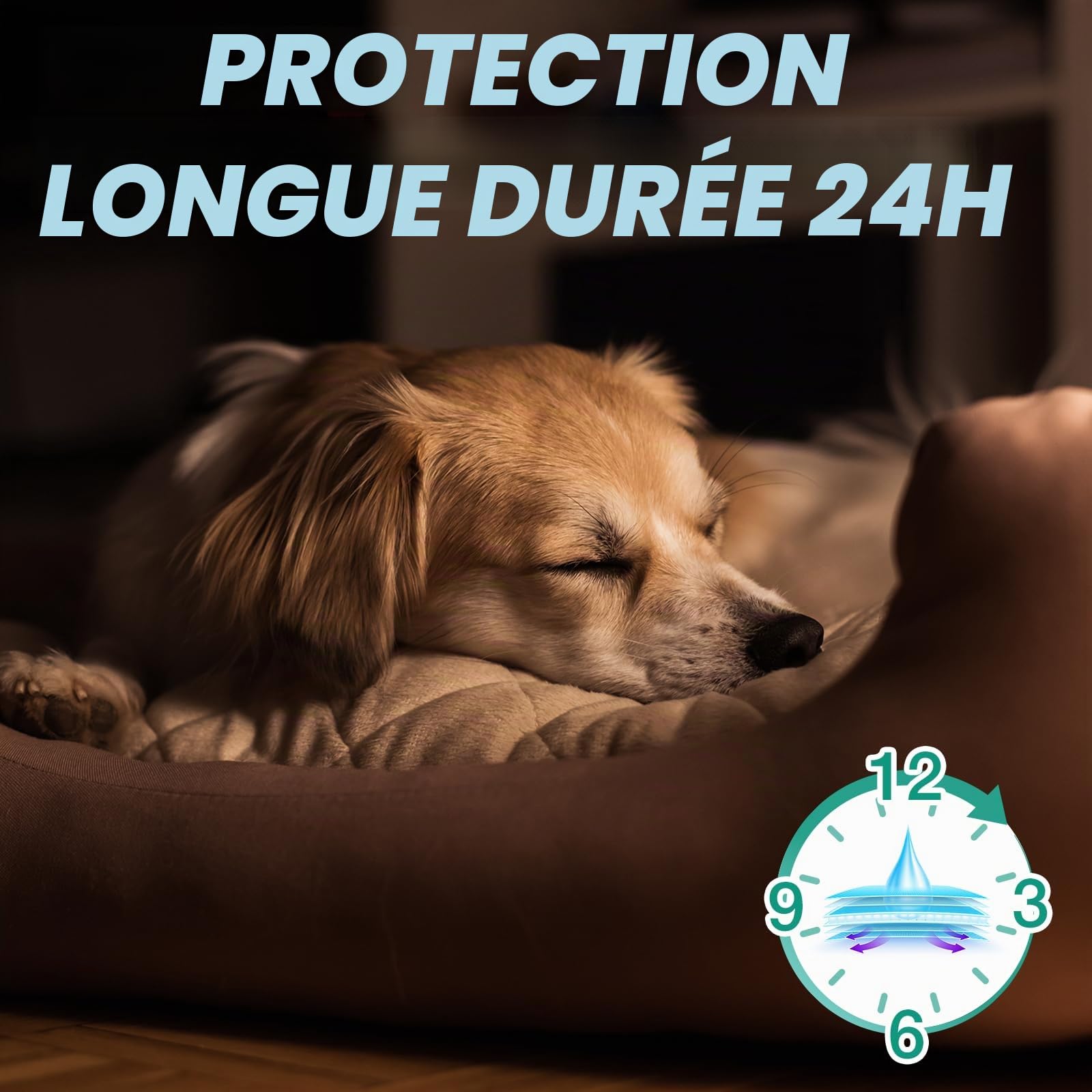 Pet Soft Couche Chien et Chats Femelle, Super absorbantes, Couches jetables pour Chats Femelle avec indicateur d'humidité (XS-20 pièces)