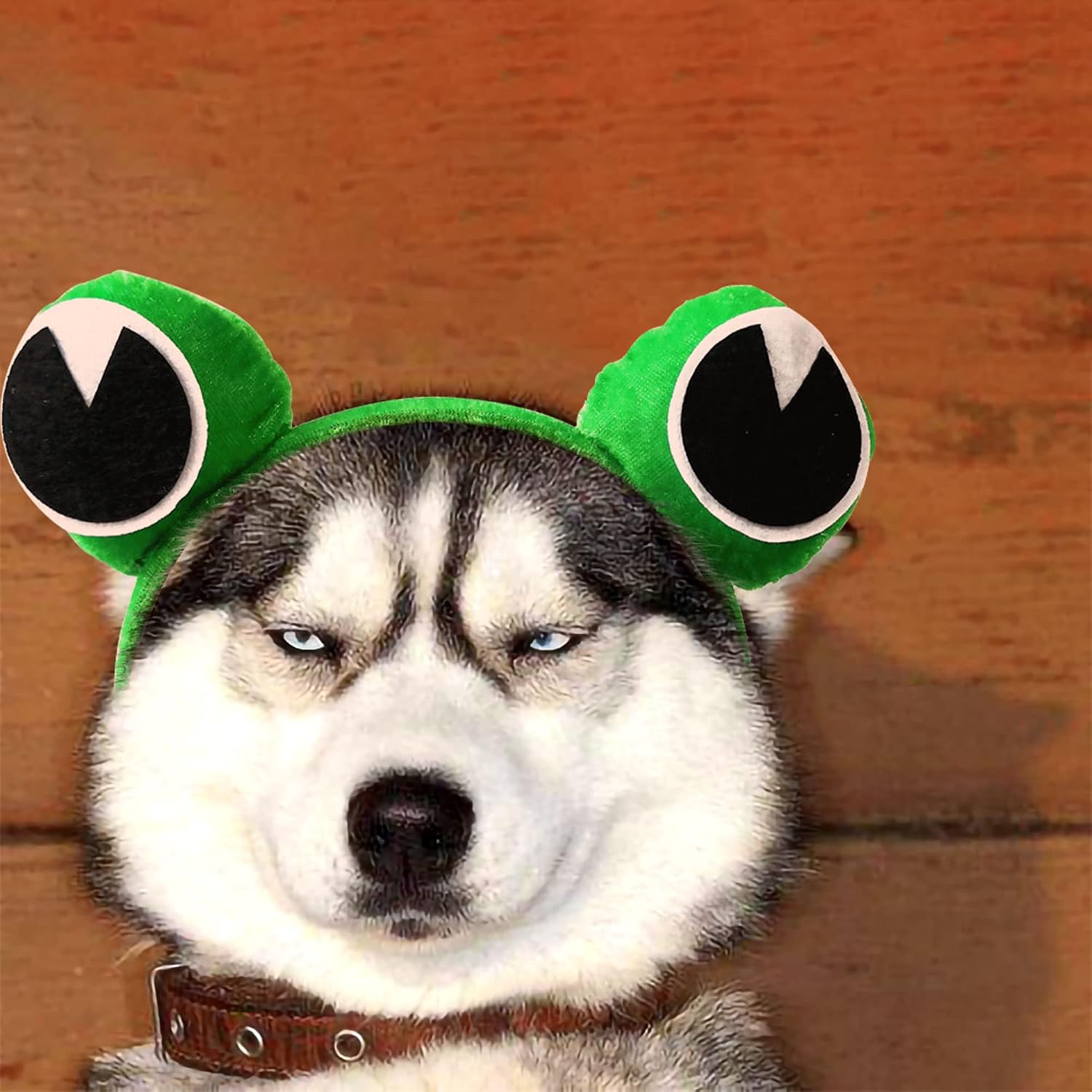LaVenty Frog Party Supplies Halloween Frog Headband Costume | LaVenty Frog Party Supplies Halloween Frog Headband Costume Birthday Decoration for Pet Halloween Costume for Pet - view 2