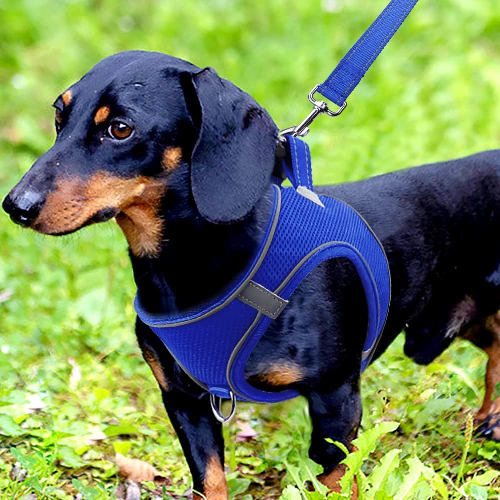 Joytale Step in Dog Harness,Soft Mesh Reflective Breathable Vest Harnesses,Easy Walk Harness with Safety Buckle for Small and Medium Dogs,M,Navy Blue - Image 3
