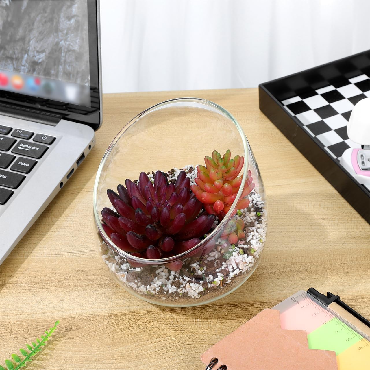 Kisangel Glass Planter Vase for Indoor Plants 4.7 Inch Round Clear Bowl with Unique Slanted Mouth Design for Succulent Pots Moss Terrarium and Home Centerpieces