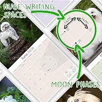 Vista 614 de Razas de Perros 2017