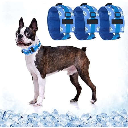 cooling collar