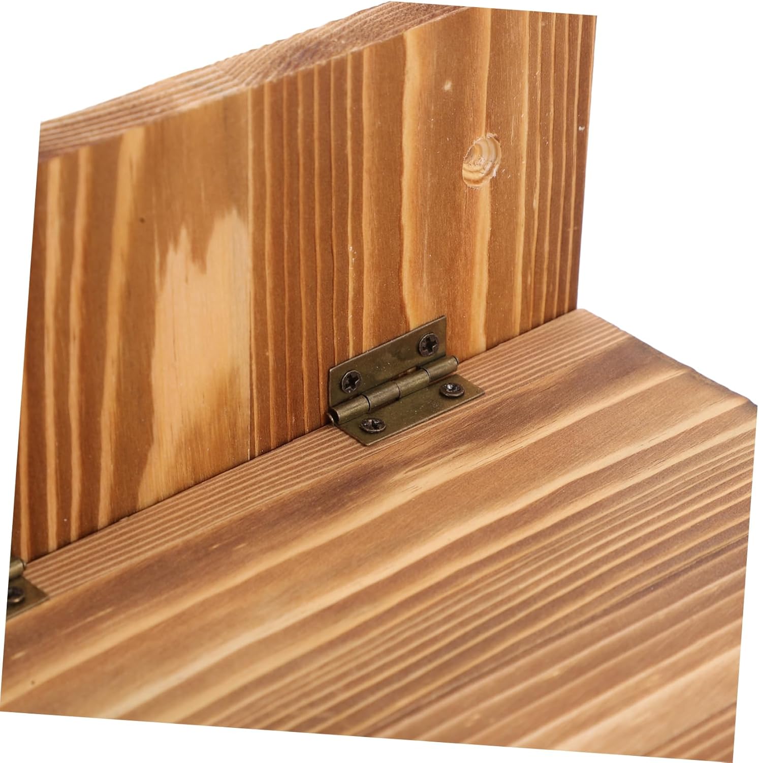 Outdoor Squirrel Feeder Storage Holder for Squirrels and Birds Feeding House for All Weather Attracts Wildlife to Your Backyard