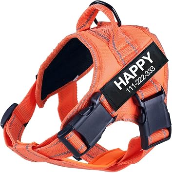 Dog Harness Personalized Name Phone Tags with Custom Patch, No Pull Pet Vest Easy Control for Walking Training for Small Medium and Large BreedOrange-XS
