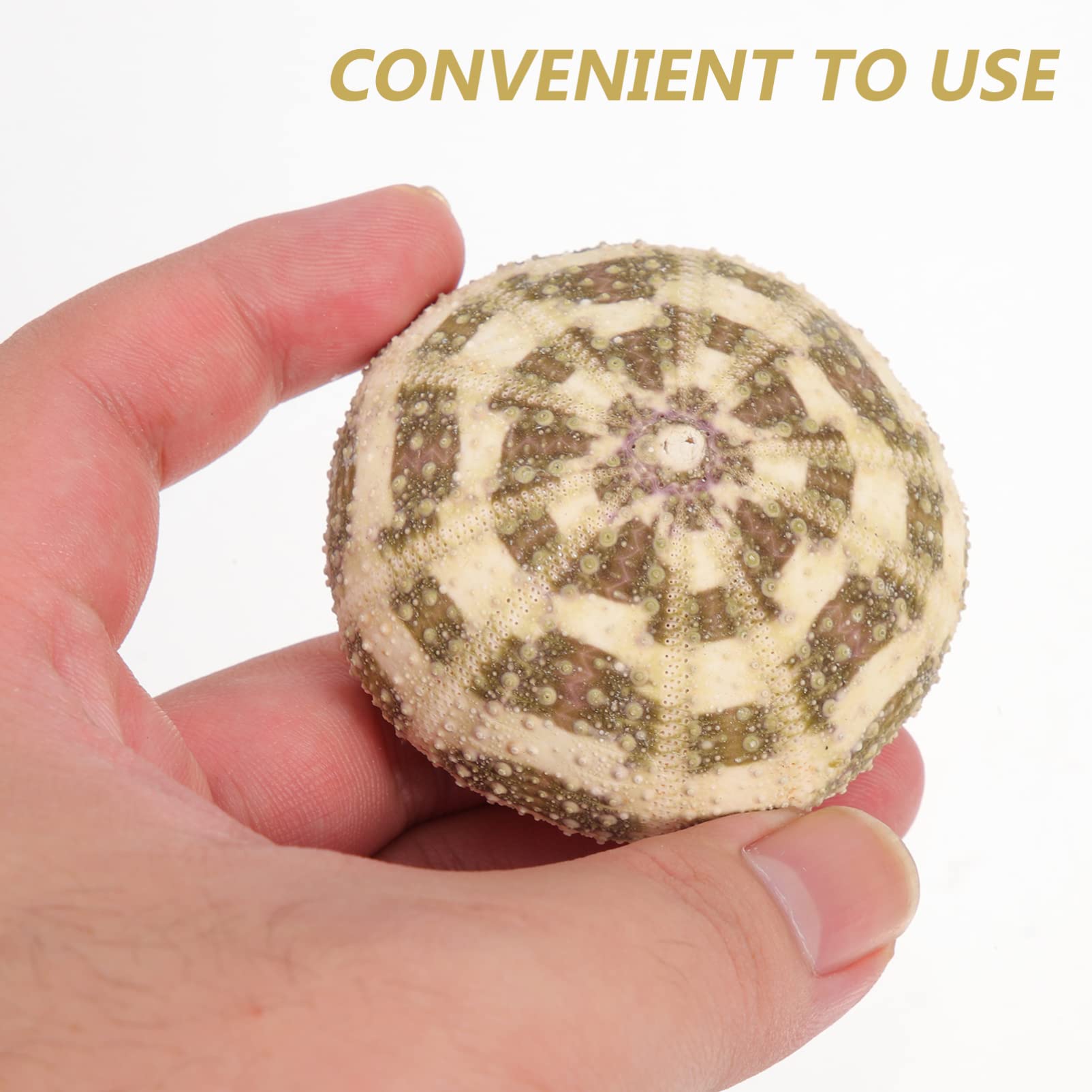 6 Stück Künstliche Seeigel-Dekorationen - Meeresthemen Deko Für Vasen, Aquarien & Tisch