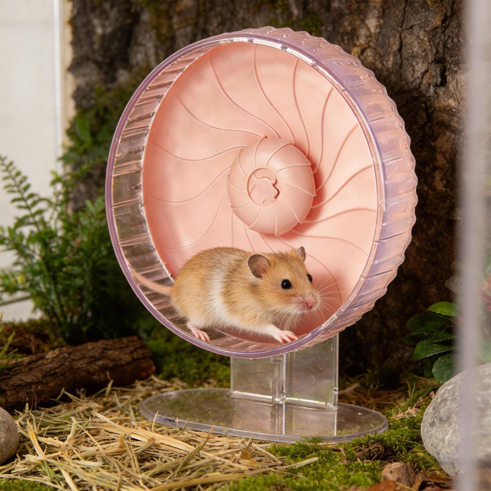 Ruota Criceti Silenziosa Habitat Con Altezza Regolabile, Silenziosi E | Ruota per Criceto Per Topi, Gerbilli, Sugar Glider, Ricci, Furetti, Conigli E Altri Animali Domestici