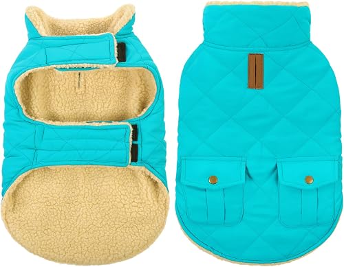Queenmore Warm Dog Coat, Cold Weather Puffer Dog Coat Vest, Quilting Winter Dog Jacket Ultra Thick Plush Fleece Lining Pet Clothes for Dogs with Storage Pockets (Light Blue, Medium)
