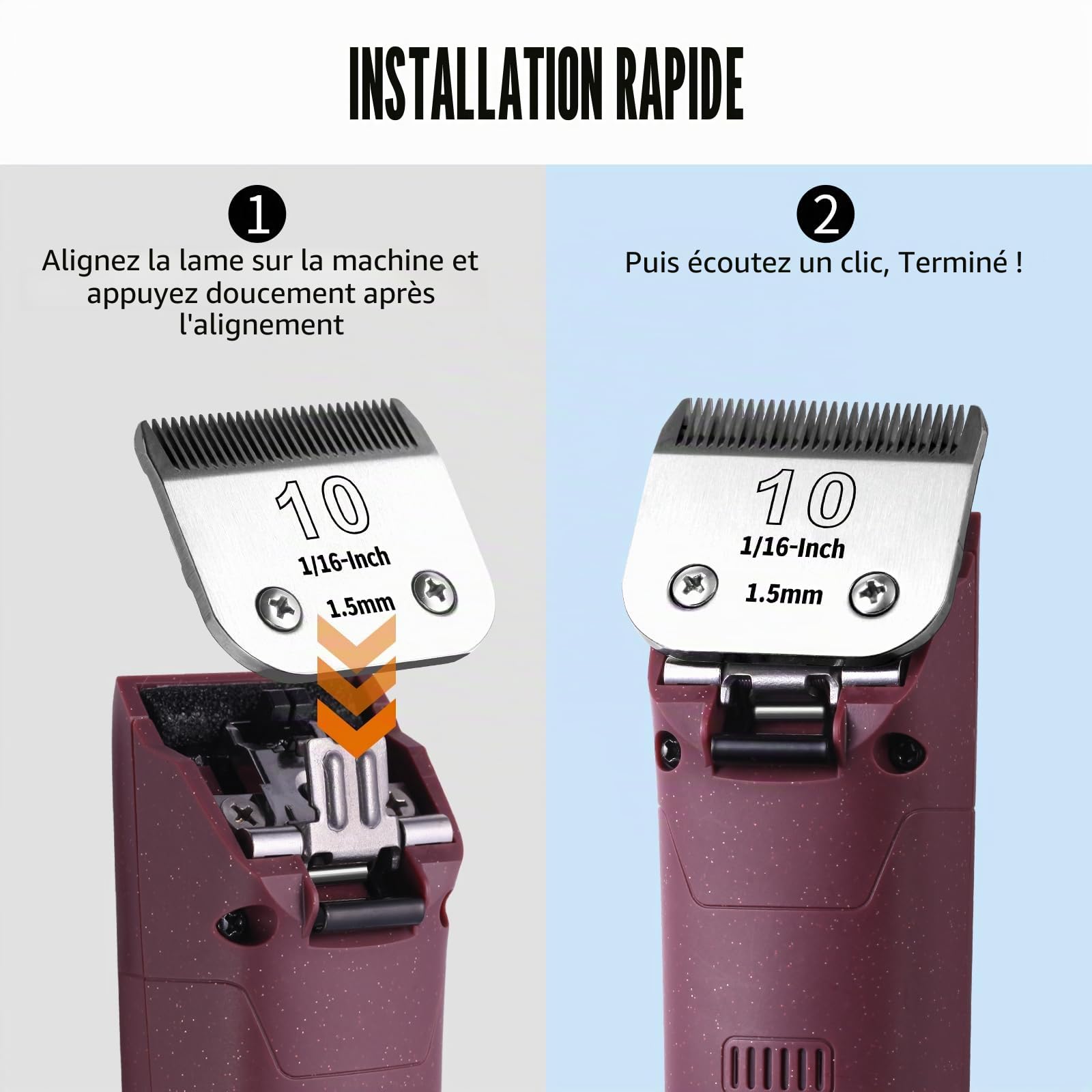 Lot de 3 lames en acier inoxydable détachables pour toilettage de chiens PET de 10#, compatibles avec Oster/Heiniger/Moser, taille n°10, longueur de coupe 1,5 mm (1/16 pouce)