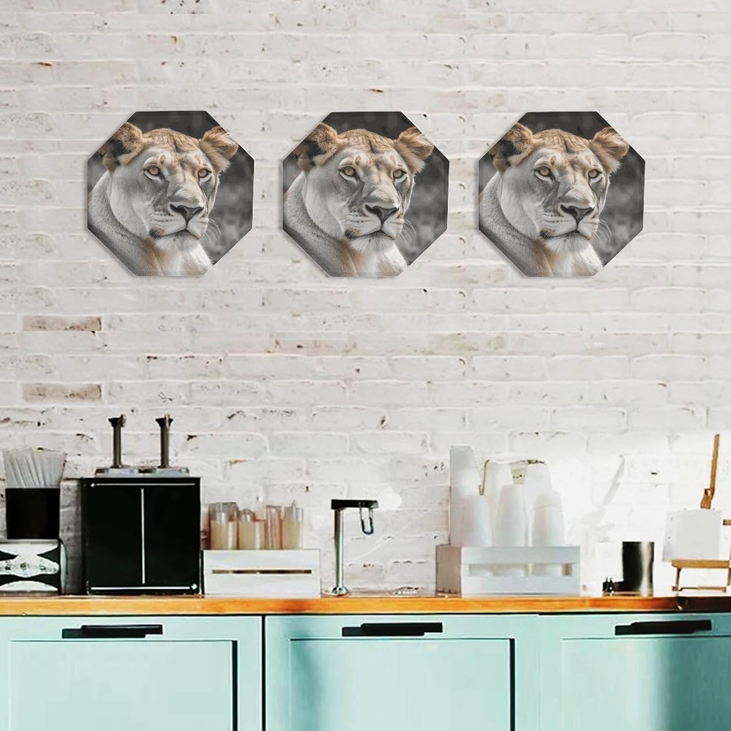 Ctagon Metal Sign for Home, Modern Display Plate for Kitchen, Lioness Plates Accent Hanging Wall Decorations 3PCS for Living Room, Bedroom, Hallway, Hotel
