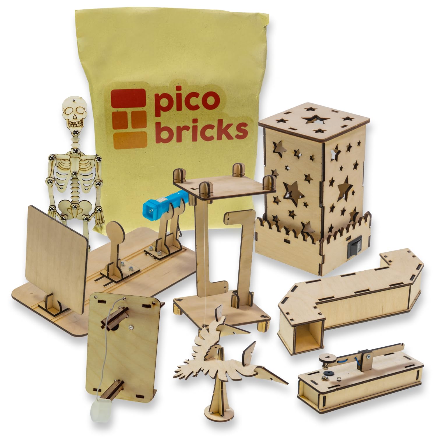 Kit de sciences physiques éducatif DIY avec maquette squelette et veilleuse