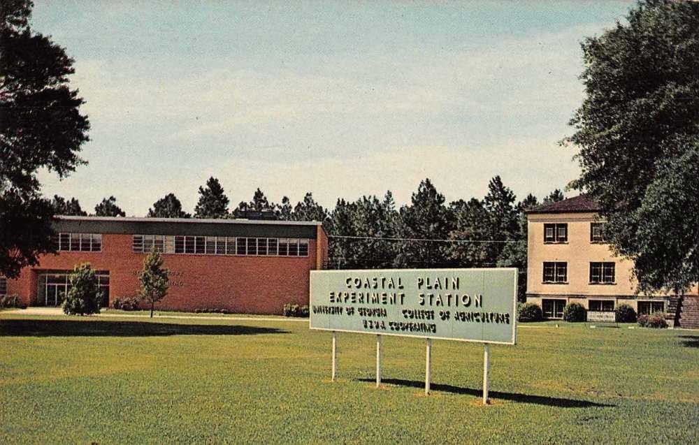 Tifton U of Coastal Plain Experiment Station Postcard