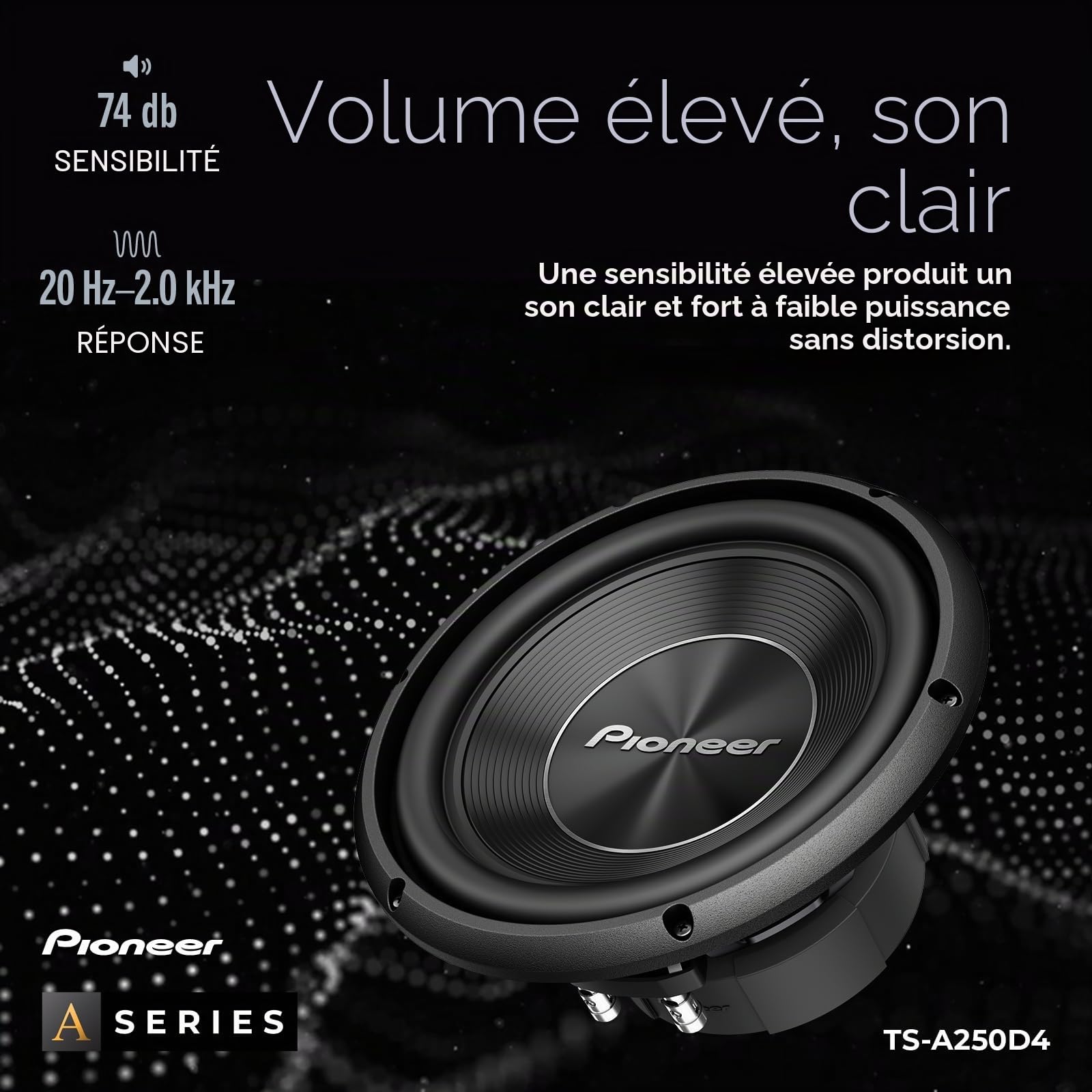 Pioneer TS-A250D4