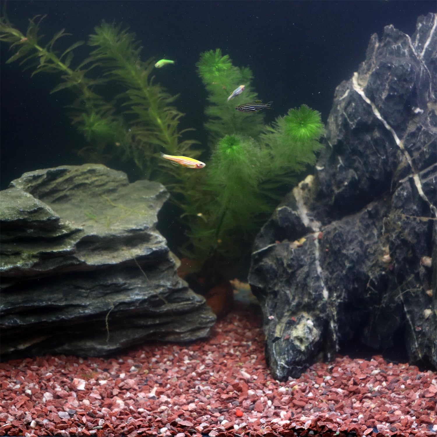 View 9