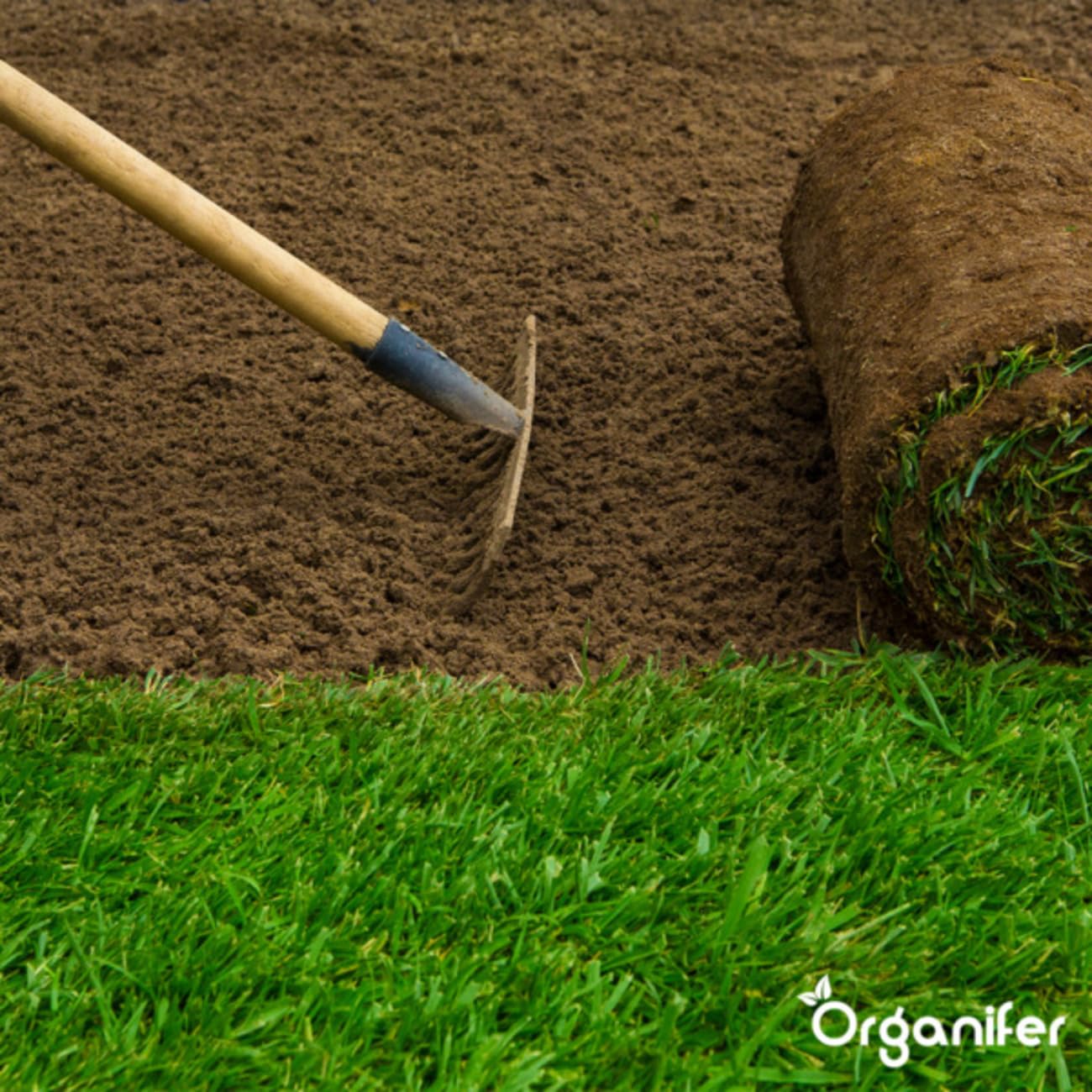 Fumier De Vache 3-En-1 En Granulés - 20 Kg - 200 M2 - Engrais Organique Universel - Npk 2-2-3 - Fertilisants Pour Potager, Gazon, Jardin - À Partir De Fumier De Vache 100% Pur - Organifer