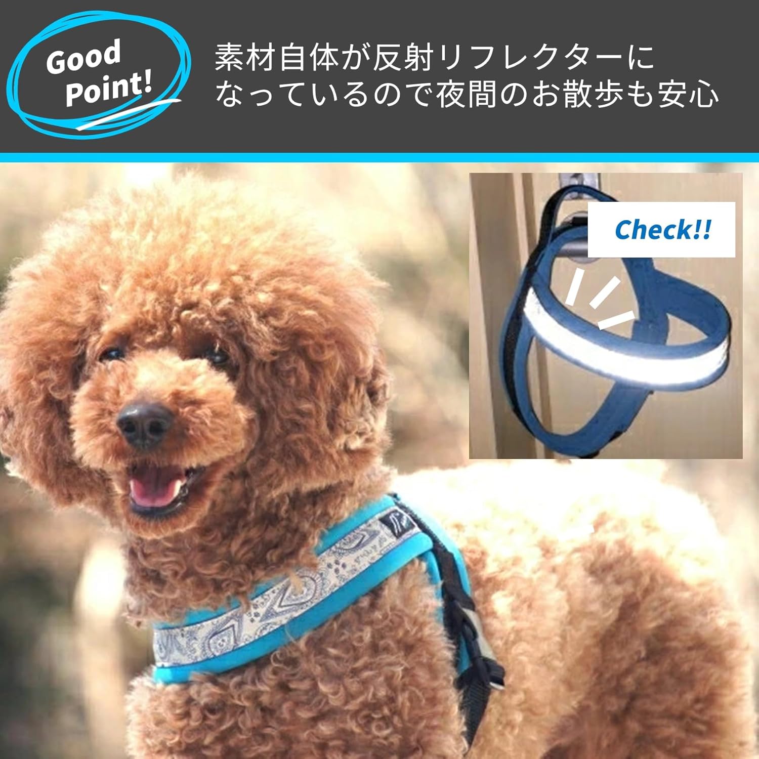 Just Fit Harness (4, Raspberry x Hotpink)