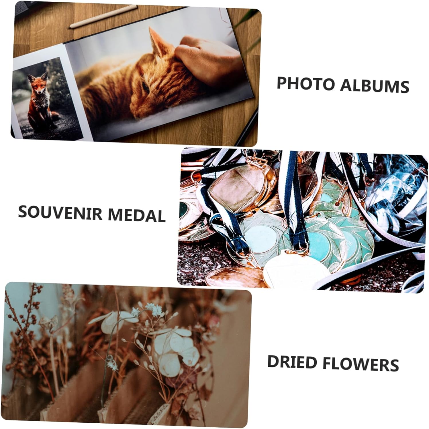 Luxshiny Shadow Box Frame for Dried Flowers Medals Photos Display Vintage Display Case for Keepsakes Art Crafts Protective Decorative Box for Memorabilia and Awards