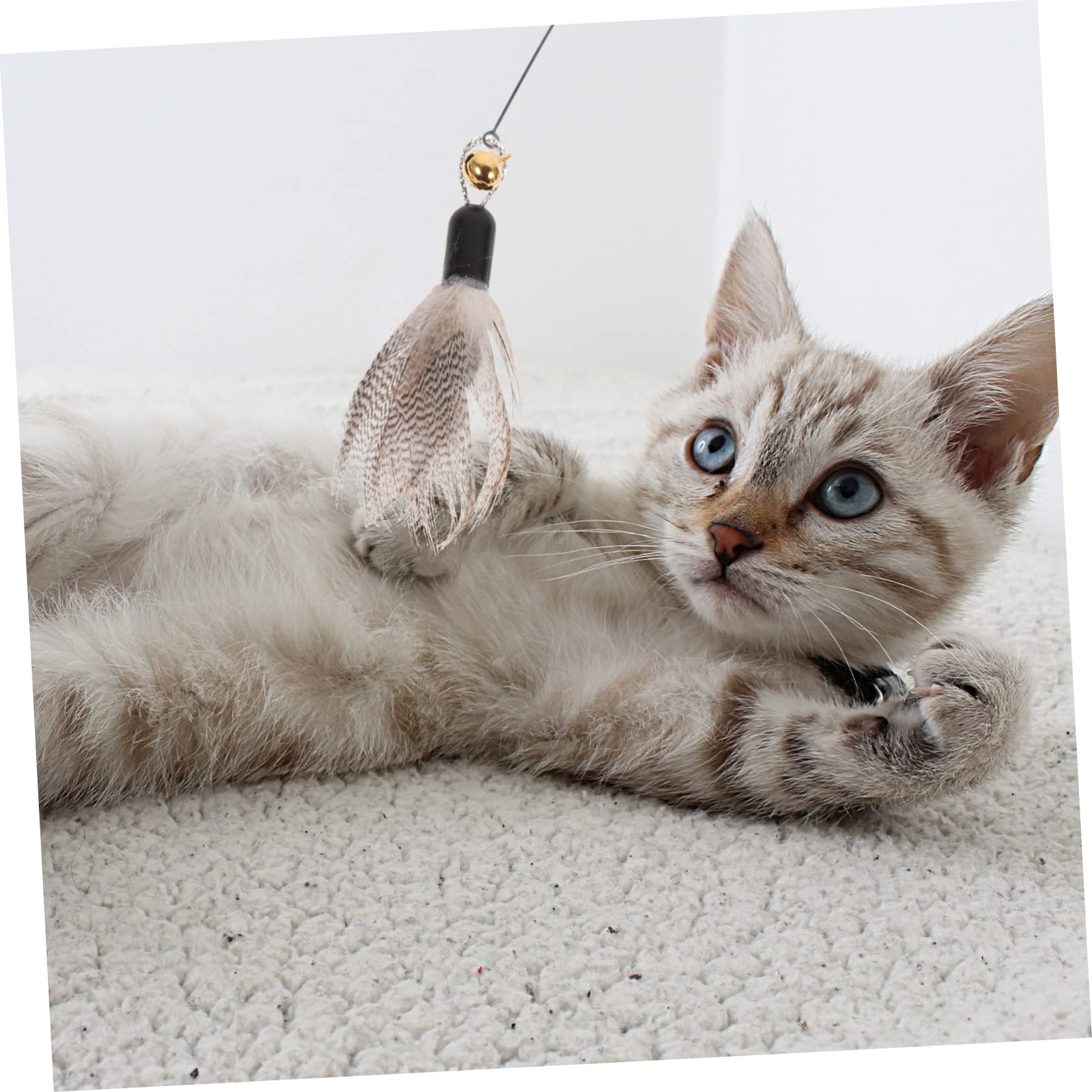 Yardwe 24stücke Katzenangel Nachfüllköpfe Interaktive Katzenspielzeuge Mit Bunten Federn Und Insekten-Design Ergänzung Für Und Aktivität Ihrer Katze
