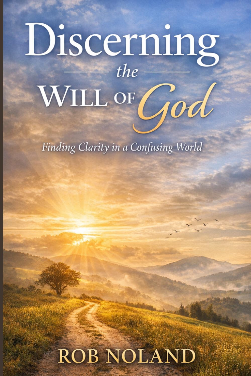 Discerning the Will of God: Finding Clarity in a Confusing World