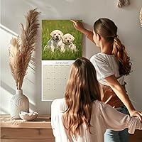 Vista 1481 de Razas de Perros 2017