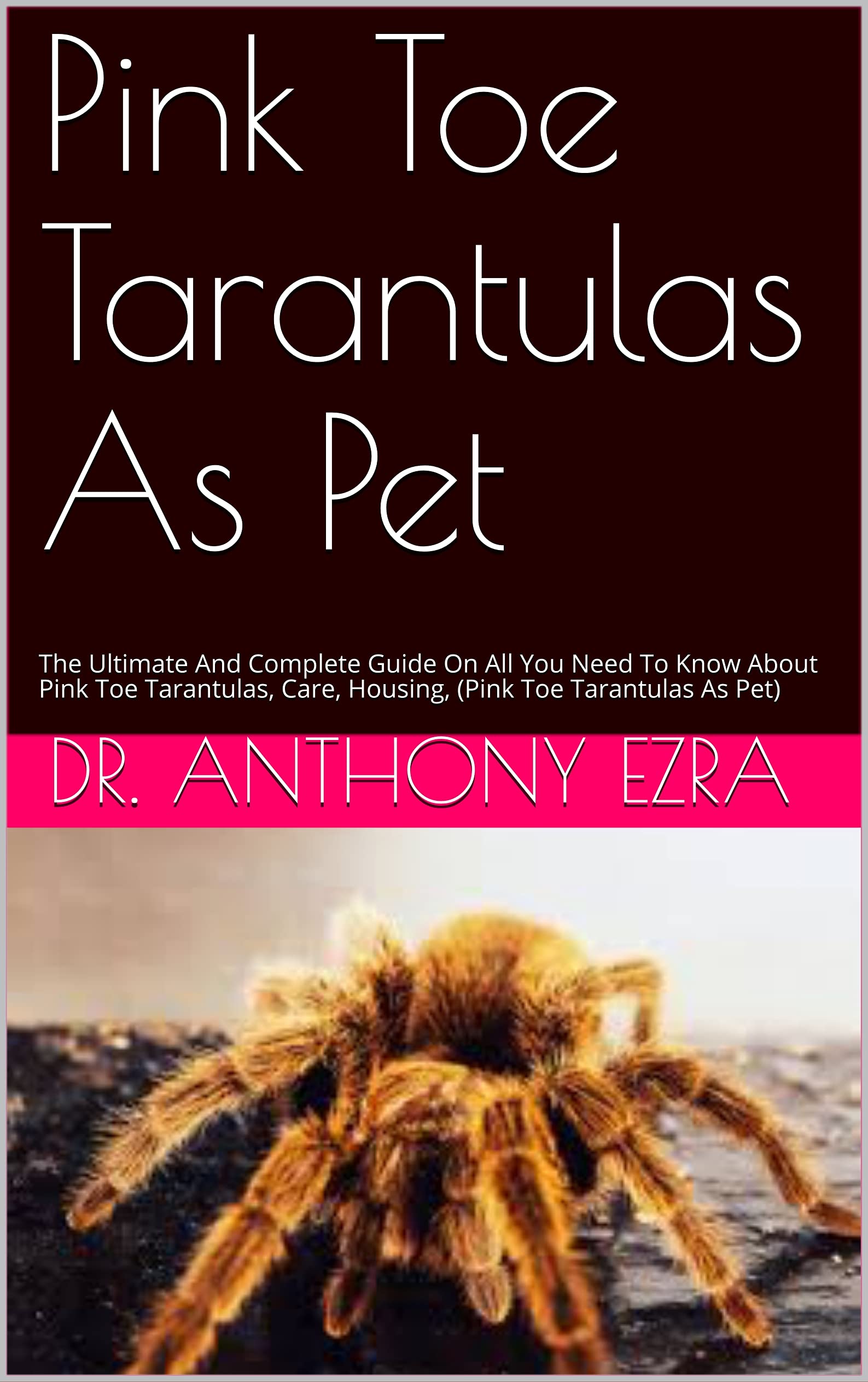Buy Pink Toe Tarantulas As Pet The Ultimate And Complete Guide On All