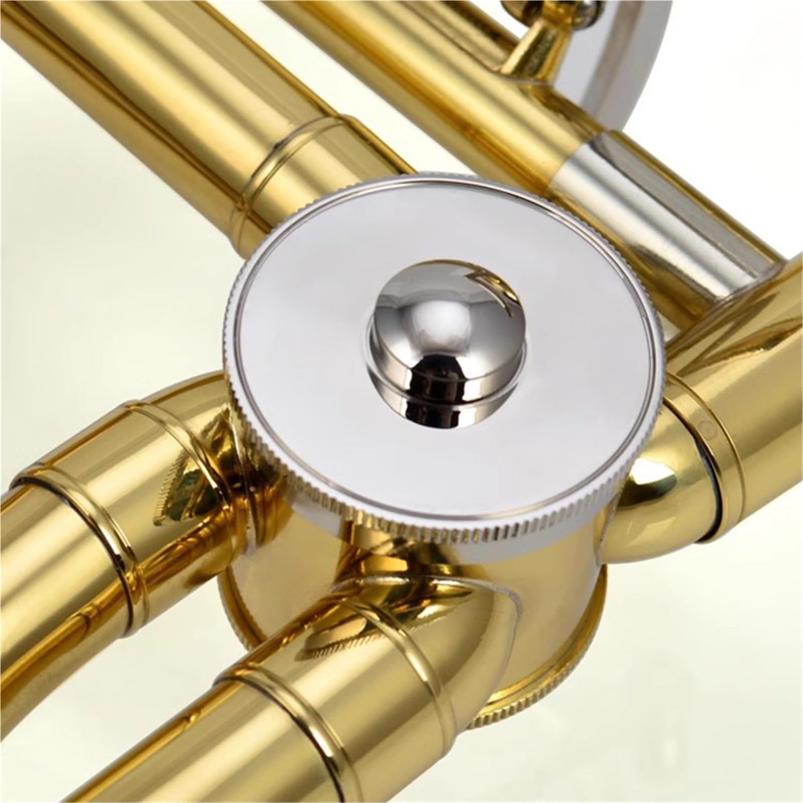 Tenorposaune In Der Tonart B Bis F Blechblasinstrument Für Erwachsene Profiposaune