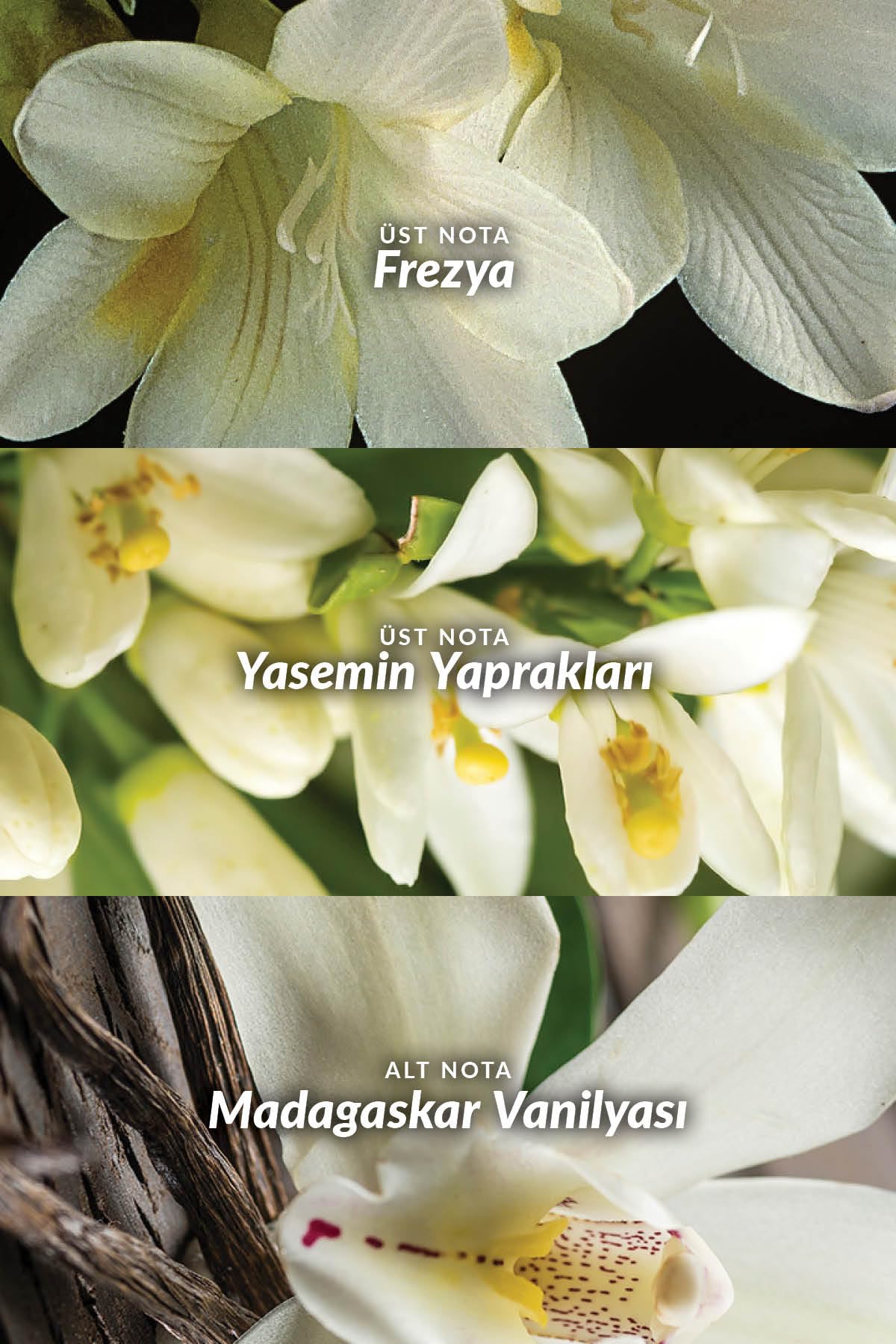 Avon Far Away Kadın Roll On 50 Ml.