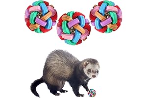 Ferret Triple Bonanza: Balls of Entertainment for Teeth, Body, and Mind