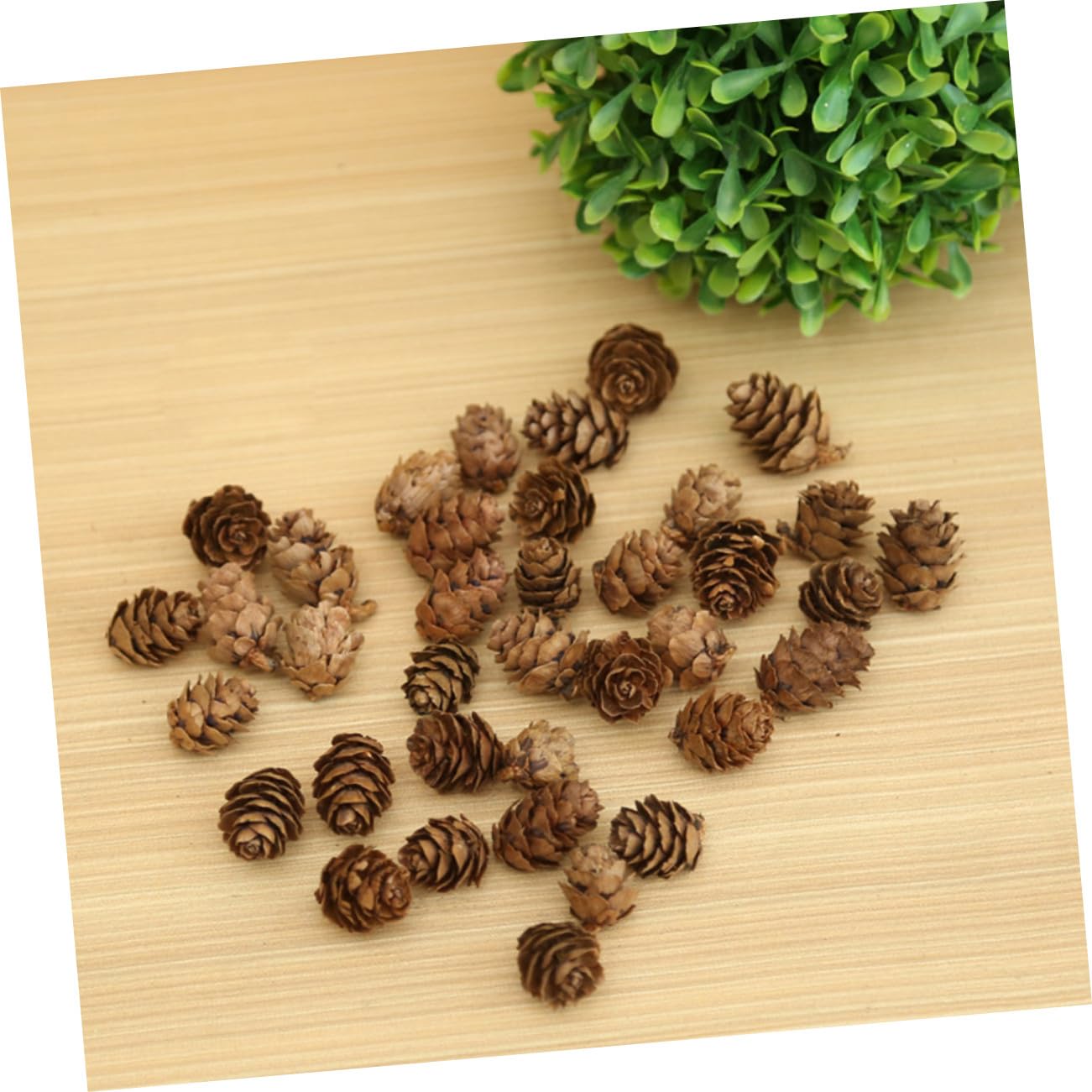 210 Piezas Mini Piñas Naturales de Pino Decoración Rústica de Hogar Manualidades y Adornos Navideños de Acción de Gracias