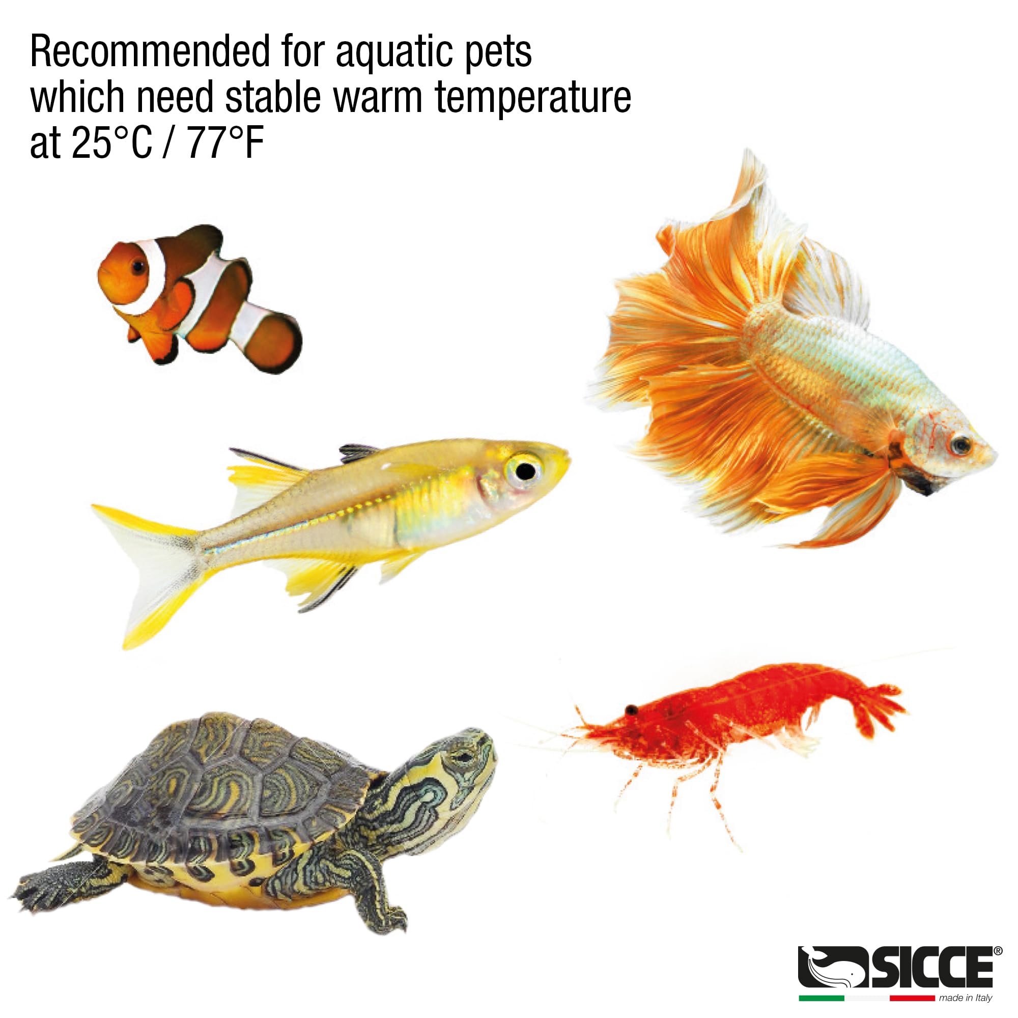 Sicce Jolly Petit chauffage submersible préréglé pour aquarium à température constante jusqu'à 25 °C pour aquariums d'eau douce et d'eau salée de 3 à 12 litres