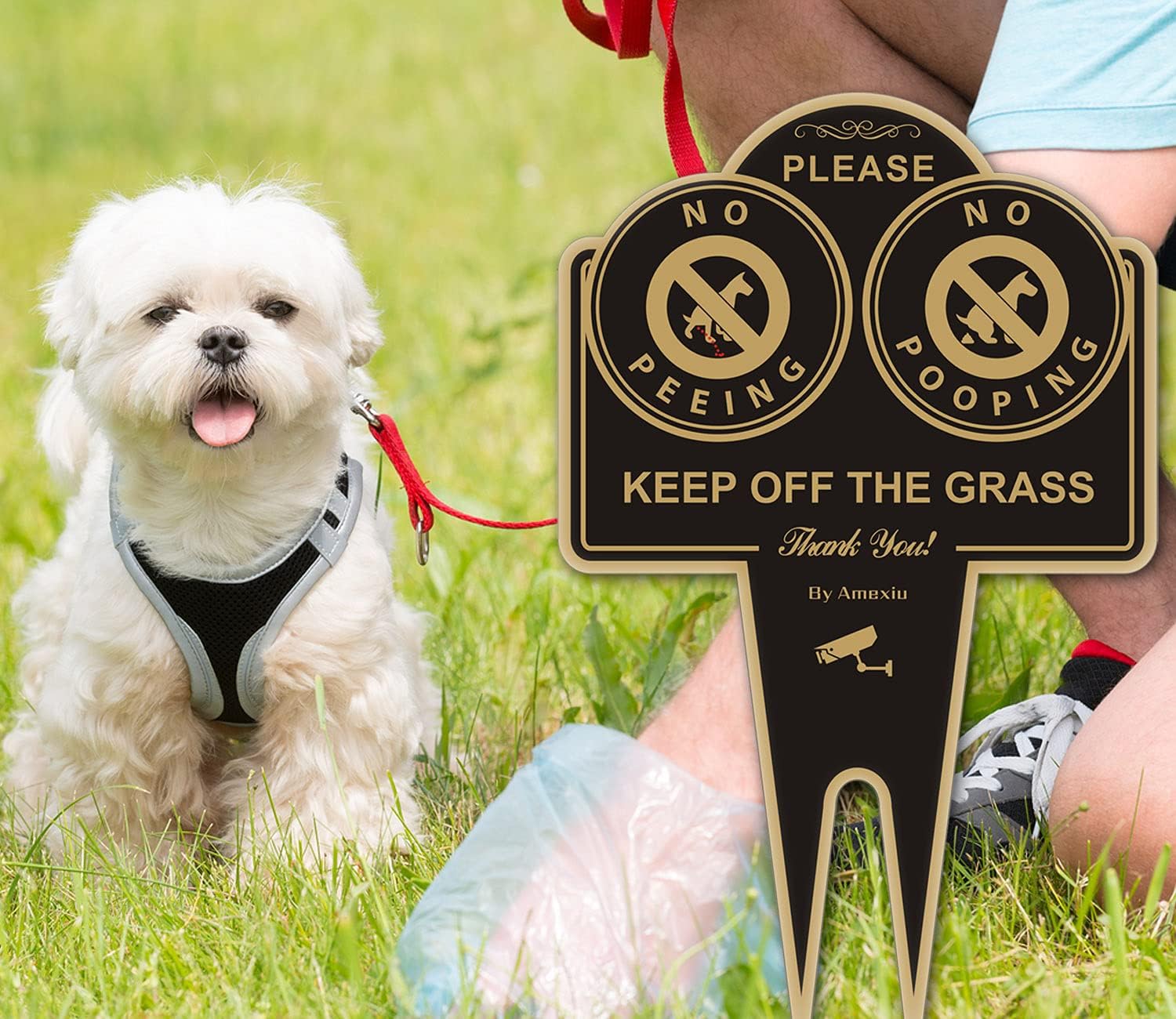 Amexiu No Pooping No Peeing Dog Sign, Keep Dog off Grass Yard Lawn Sign, Double Sided 15 x 9.5 X 0.08 Inches Rust Free, Easy Mounting Waterproof Durable Ink Black Gold Color, 2 Pack
