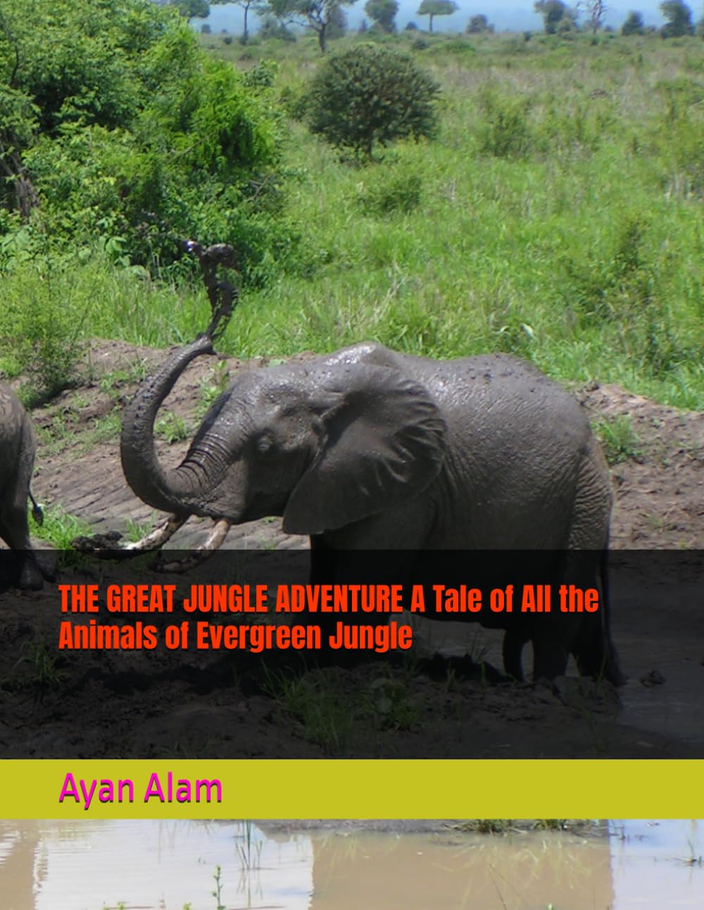 THE GREAT JUNGLE ADVENTURE A Tale of All the Animals of Evergreen Jungle