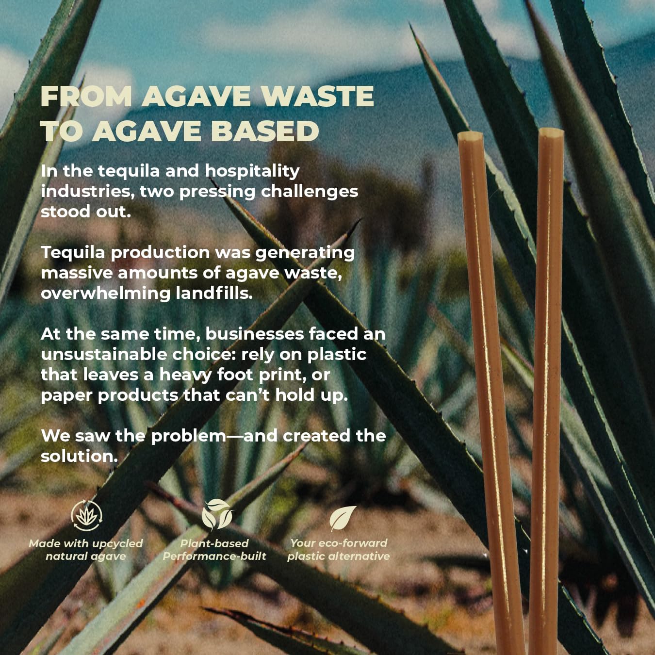 Sustainable Agave Co - Agave Fiber Unwrapped Drinking Straws - 2000 Count - Plant-Based, Made With Upcycled Materials, Reusable - Brown, Regular, 8"