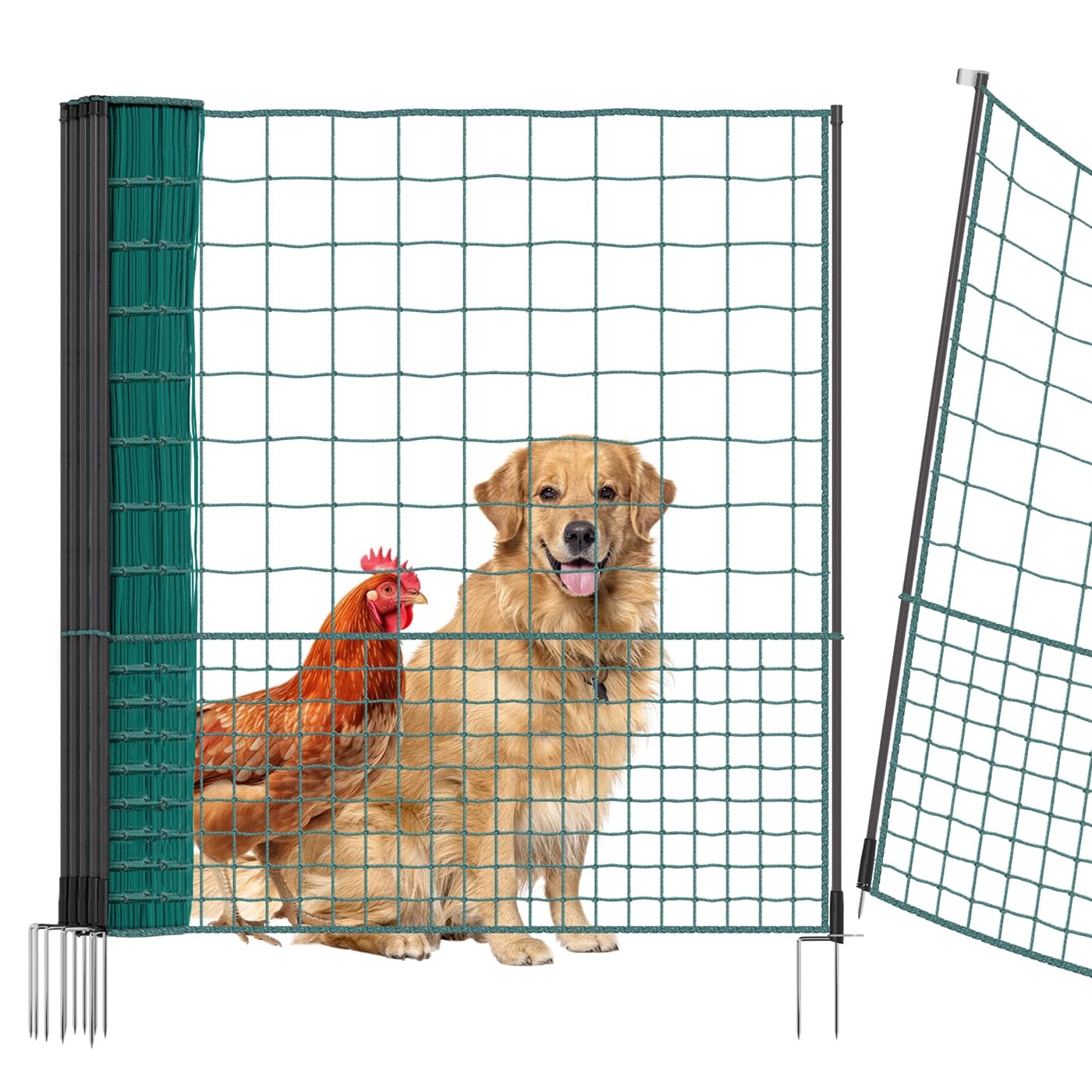 VOSS.farming 25m Hühnernetz mit Durchgang, 125cm, 7 Pfähle, 2 Spitzen, grün, ohne Strom