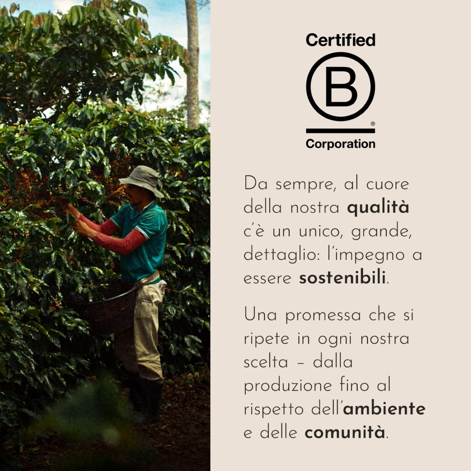 illy, Bundle Caffè in Grani da Macinare, 3x CLASSICO 2x INTENSO, 5x250g | 100% Arabica, 5 Barattoli da 250g (1250g Totali)