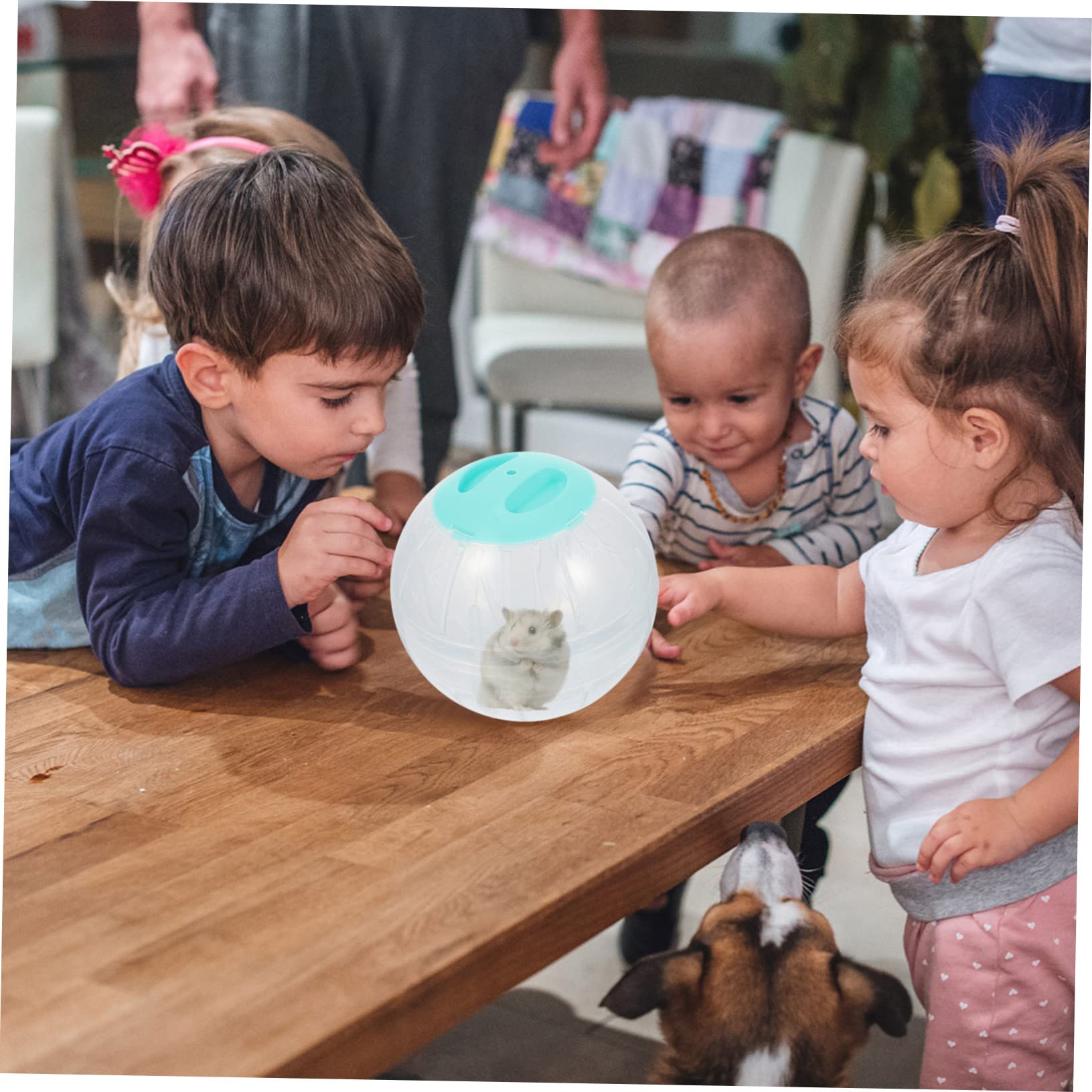 ORFOFE 4stücke Hamster Exercise Transparente Laufkugeln Für Aktive Haustiere Langlebige Spielzeuge Für Hamster Und Kleine Tiere Für Indoor-Training Und Fitness