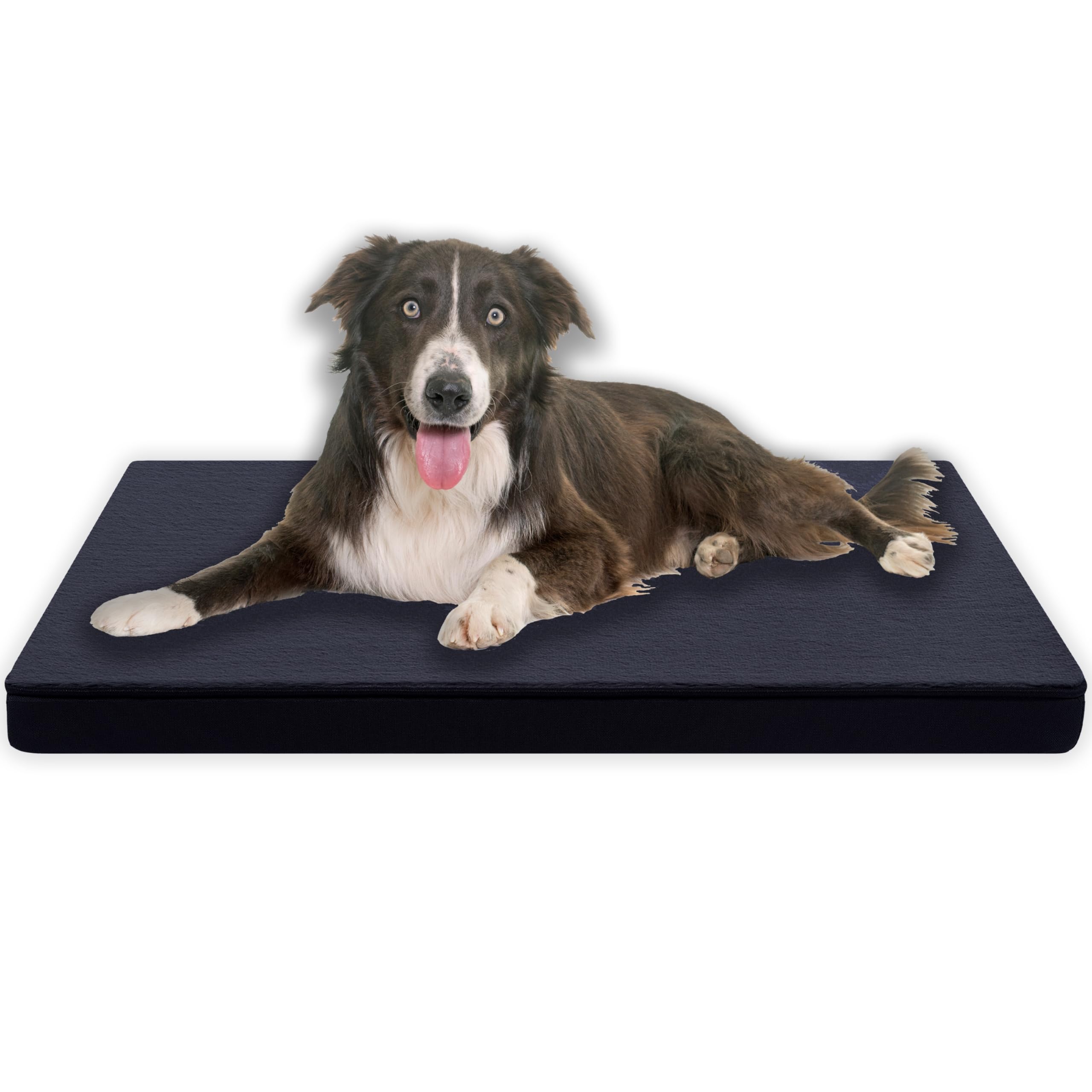 MyBestBuddy Hundekissen Premium orthopädisch mit 3 cm Vollschaum-Kern grau 90x70 cm XL, Hundematte mit Stoffbezug, 40°C waschbar, allergikerfreundlich - Hundebett für große Hunde, 90 x 70 cm