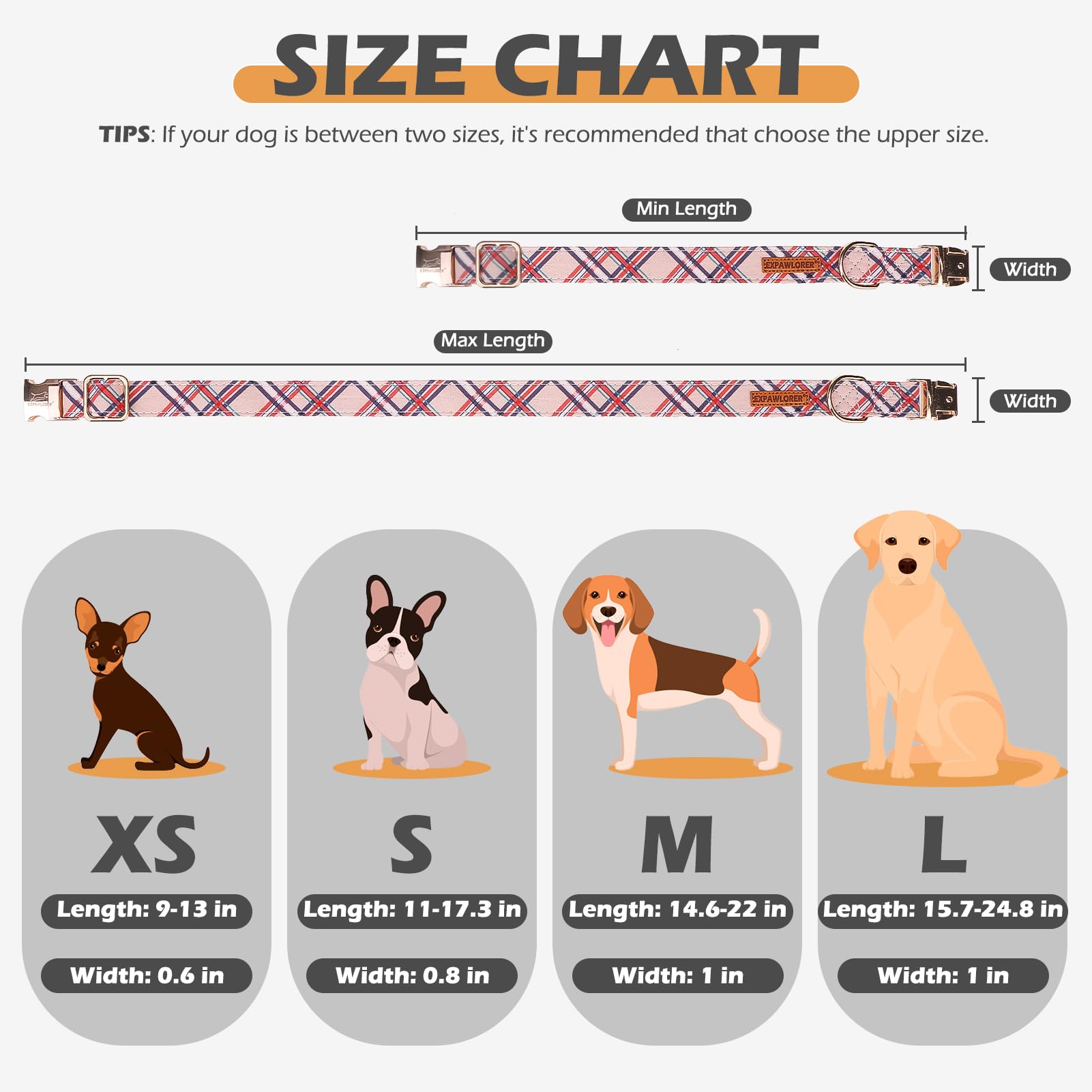 EXPAWLORER Cute Dog Collar, Floral Summer Pet Collars with Elegant Removable Bow Tie, Durable Quick Release Metal Buckle - Image 4