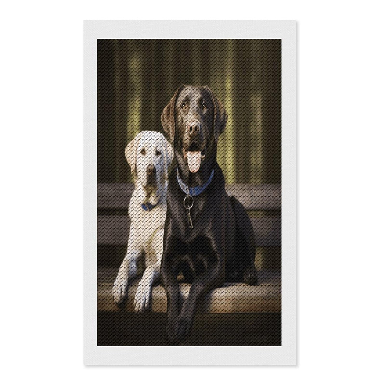 FekiLoot Diamond Art Kits for Adults, DIY 5D Labrador Diamond Painting Kits for Beginners, Full Round Drill Diamond Dots Painting Gem Art Crafts for Home Wall Decor & Gift 12"x20"