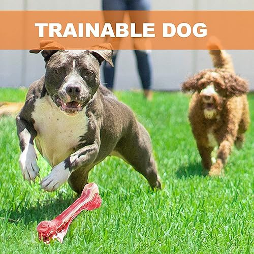 Miniatura 8 de Hueso masticable de goma natural indestructible para masticadores agresivos duradero seguro sabor de carne real limpieza de dientes cachorros grande
