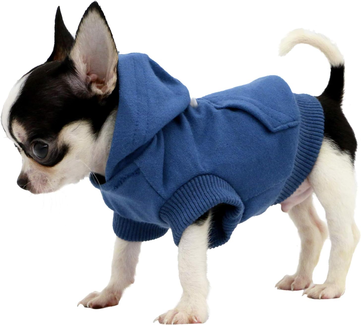 LOPHIPETS Dog Cotton Hoodies Sweatshirts for Small Dogs Chihuahua Puppy Clothes Cold Weather Coat-Navy/XS - Image 3