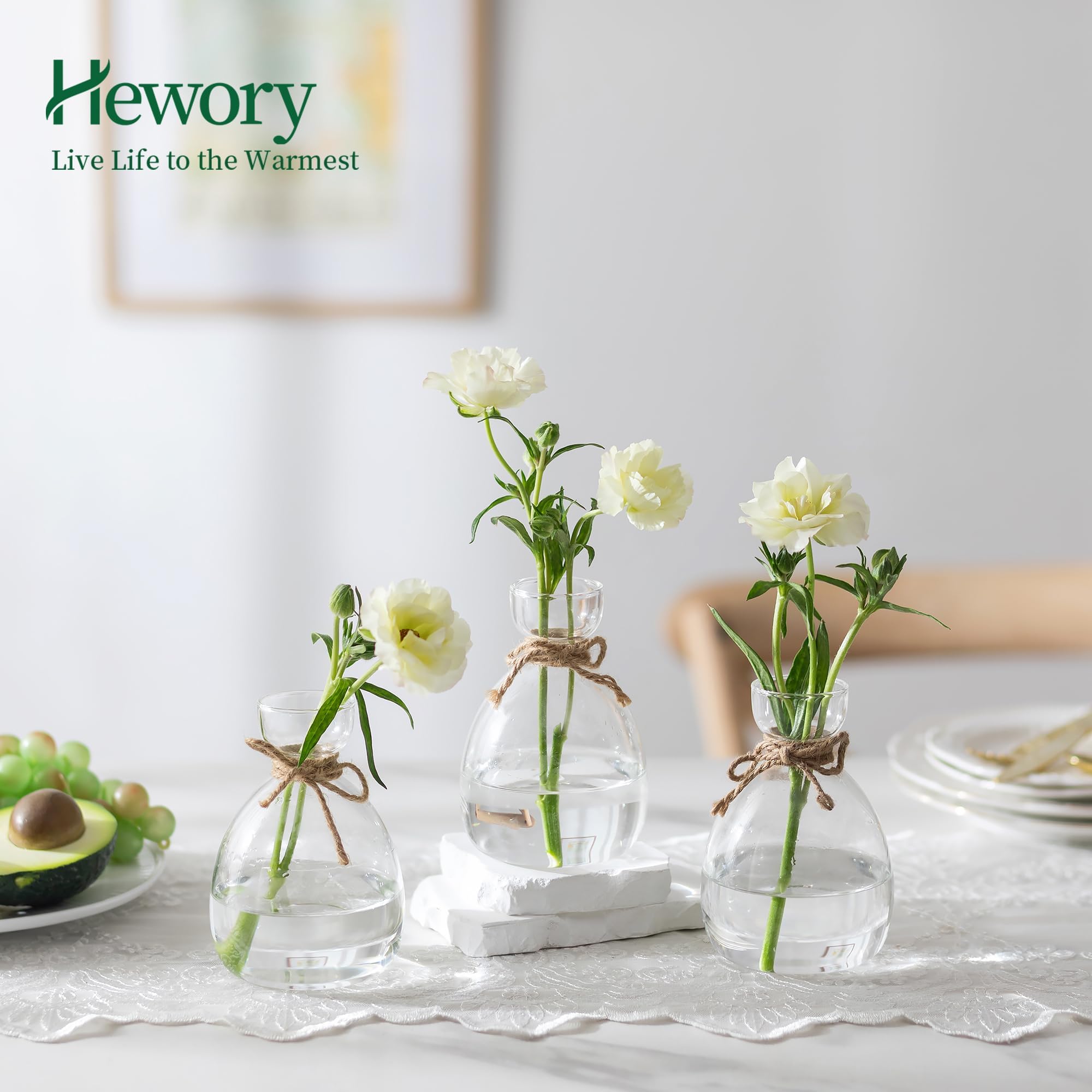 Hewory Lot de 3 vases à avocat en verre : lot de 3 vases en forme de gland - Kit de culture de graines d'avocat - Cadeaux de propagation pour les amateurs de plantes
